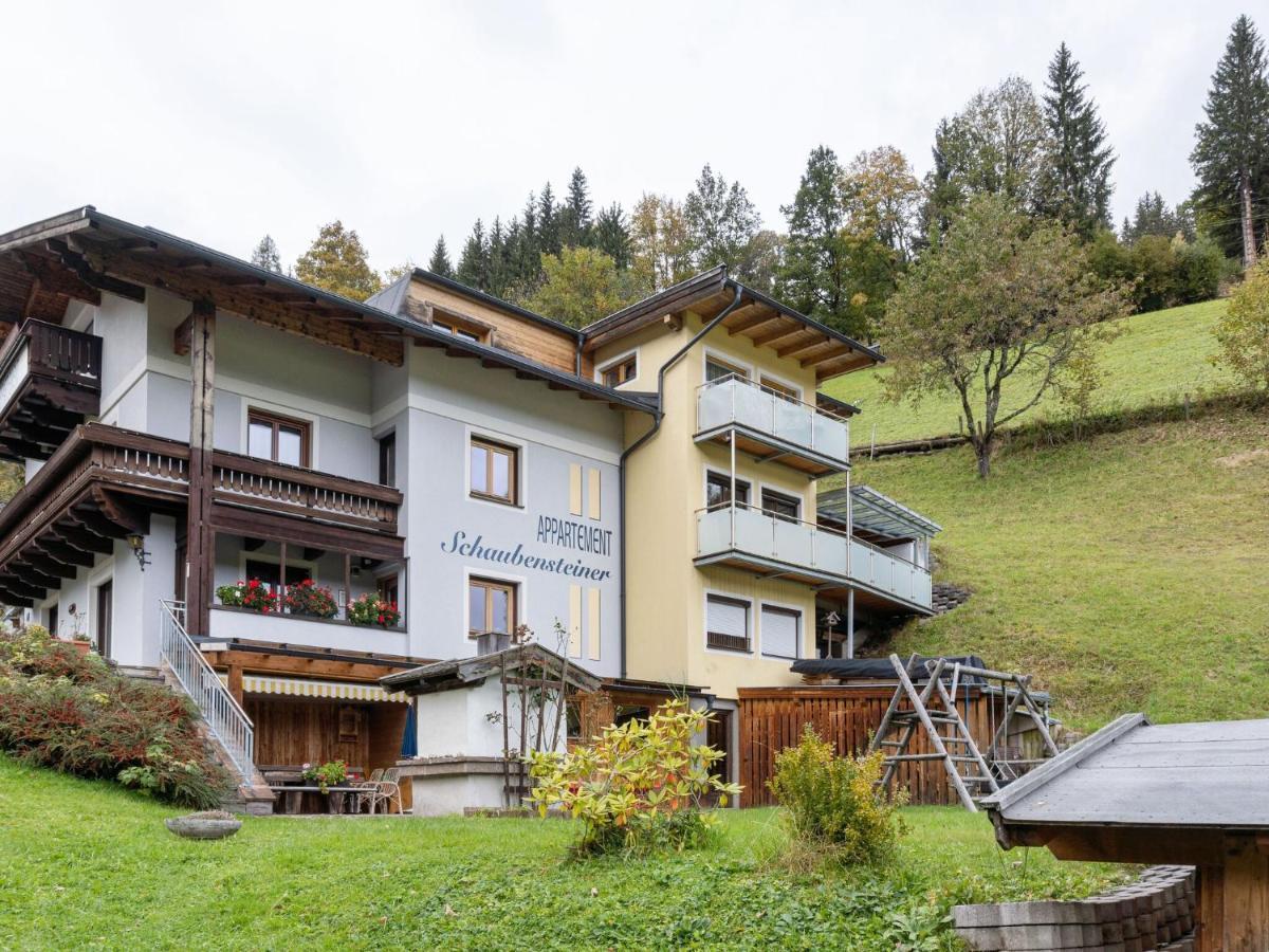 Stylish In Near Ski Area Apartment Zell am See