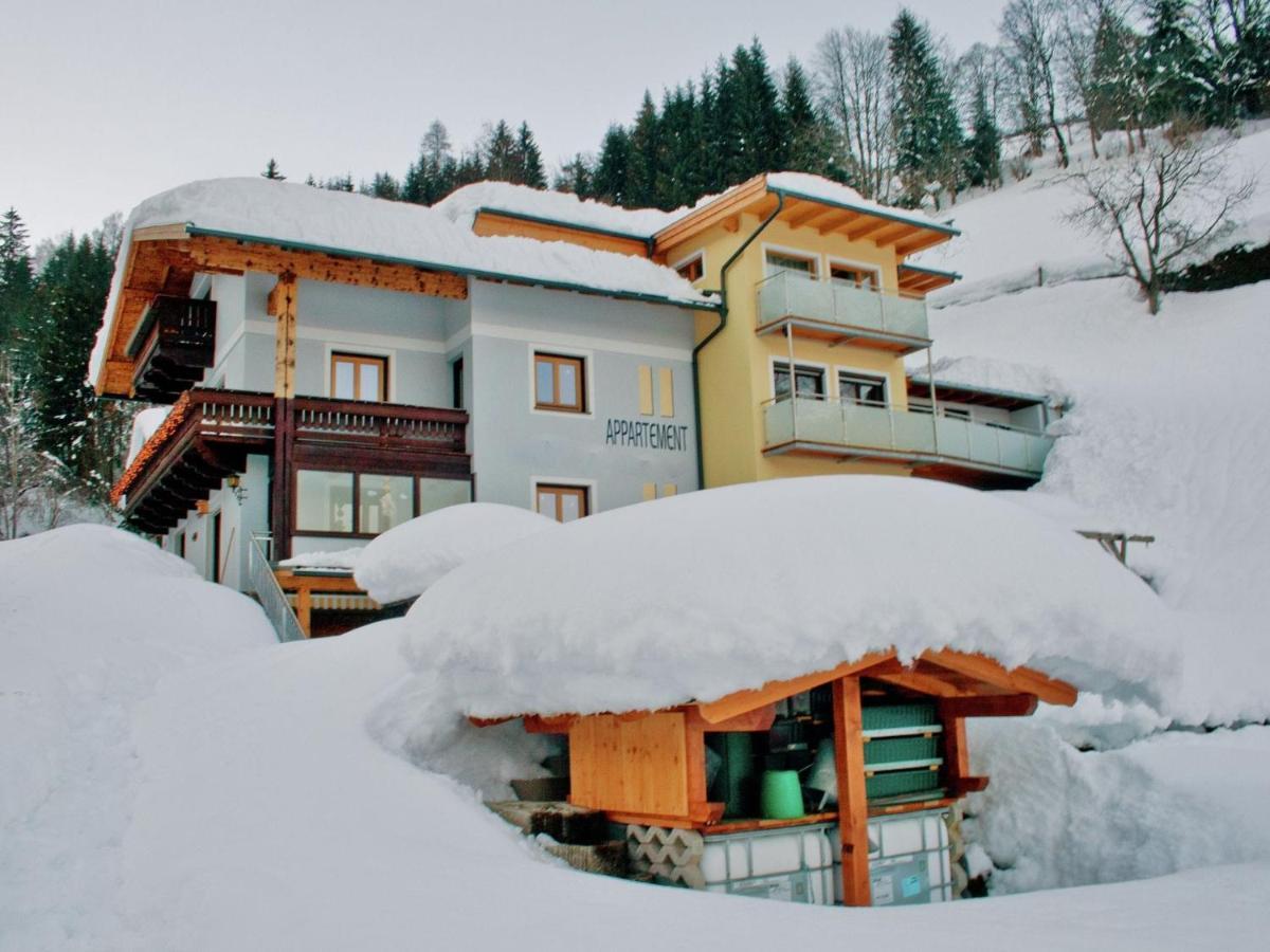 Appartement Stylish In Near Ski Area *